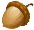 Acorn Education
